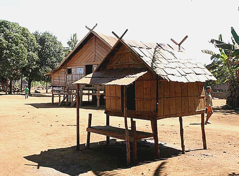 architecture_bambou_bamboo_construction_building_moso_guyane_guyana